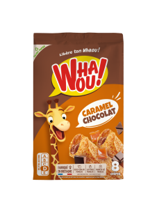whaou-mockup-pack_originale-choc-caramel-bd